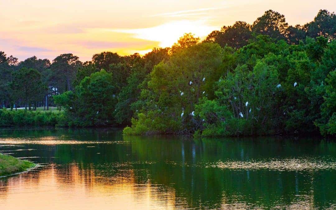 5 Reasons to Call Sea Trail Plantation Home