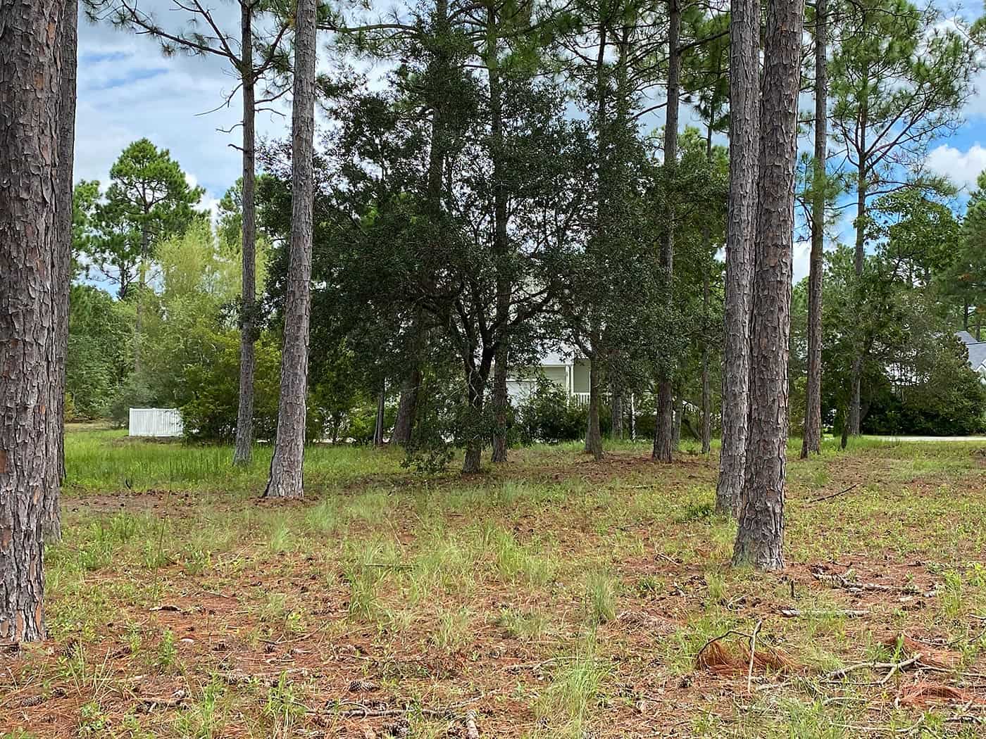 Sea Trail Plantation Lot for Sale 734 Surrey Court Sea Trail Plantation Homes for Sale