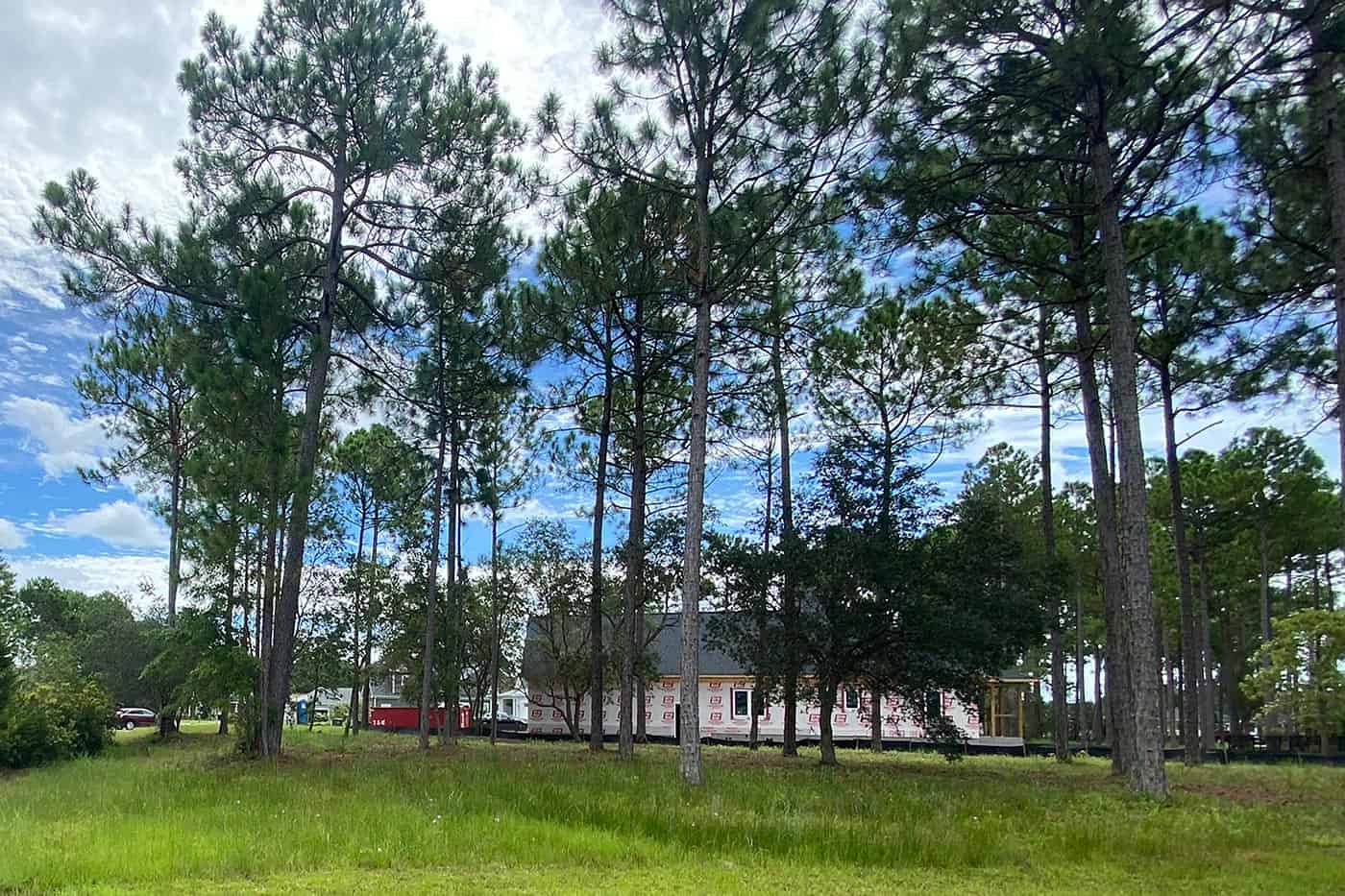 Sea Trail Plantation Lot for Sale 734 Surrey Court Sea Trail